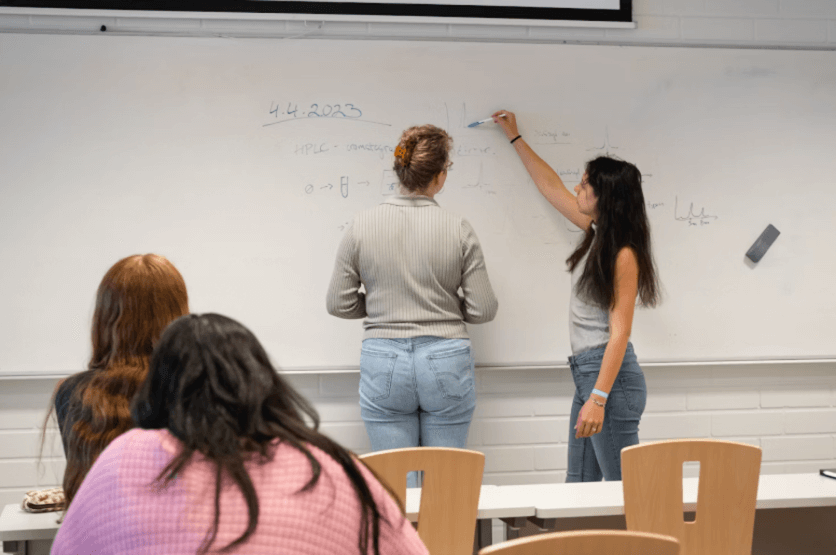 Control Asistencia Escolar preview